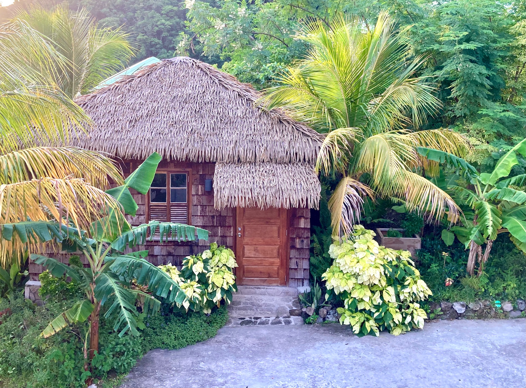 Une petite case dans un jardin, inspire le bien être et les bienfaits de la nature. Atelier de décoration d'intérieur au baobab rouge, Martinique